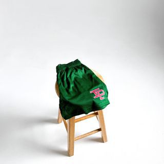 EE BAPE Casual Sports Mesh Basketball Shorts