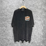 Amiri washed t-shirt lake view oil painting short sleeve