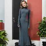 Modest Office Dresses Women's Turtleneck Long Sleeve Solid Color