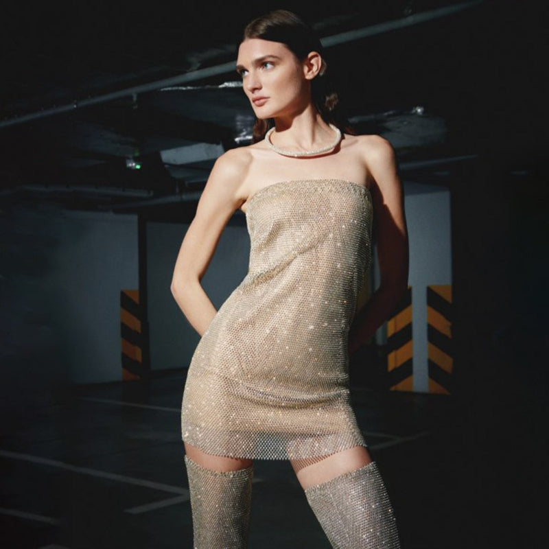 Women Dress Sexy See-through Shiny Dress