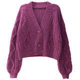 Women Knitted Cardigan Loose Leisure Short Sweater