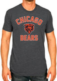 Team Fan Apparel NFL  Adult Game Day T-Shirt