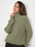Women Work Business Casual Sweats Knitted Loose Turtleneck Thick Sweater