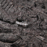 Earrings Zircon Earrings Spectrum rapper Spectrum