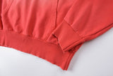 Vertebrae Hoodie Washing Embroidery Heavy Industry Pullover Hooded Sweater