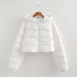 Women Cotton Coat Simple down Jacket