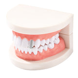 Grillz Single Braces Hip Hop Diamond Gold Teeth Spectrum