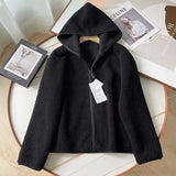 Women Hoodie Polar Fleece Simple Solid Color