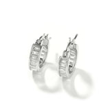 Earrings Zircon Earring Spectrum