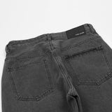 Men Jeans Simple Style Casual Distressed Loose