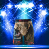 Ethika Boxer Briefs Breathable and Quick Drying Boxer Briefs