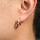 Earrings Zircon Earring Spectrum