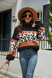 Women's Pullover Sweater Leopard Print Striped Sweater