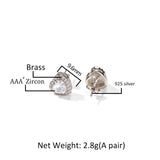 Earrings Heart Zircon Earrings St. Valentine's Spectrum